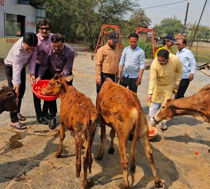 वैश्य एकता दिवस गऊ माता की सेवा कर मनाया गया