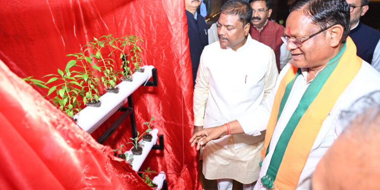 हाइड्रोपोनिक्स तकनीक : खेती का नया और स्मार्ट विकल्प….