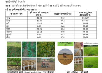 अधिक वर्षा की स्थिति में किसान लेही पद्दति से धान की करें बुआई