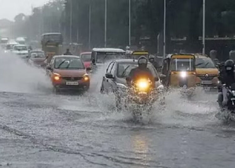 छत्तीसगढ़ में फिर मेहरबान हुआ मानसून: अगले तीन दिन झमाझम बारिश के आसार, इन जिलों में ऑरेंज और येलो अलर्ट जारी