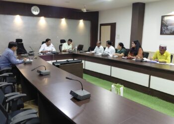 बिरसा विकासखंड के बीमारी से प्रभावित ग्रामों का प्रतिदिन भ्रमण करने के निर्देश
