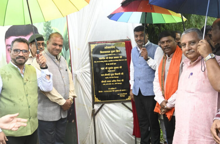 बिलासा ताल में बना आकर्षक वुडन ब्रिज, पर्यटन सुविधाओं को मिला नया आयाम
