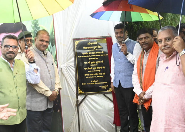 बिलासा ताल में बना आकर्षक वुडन ब्रिज, पर्यटन सुविधाओं को मिला नया आयाम