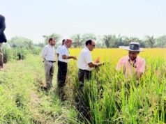 रायपुर : माटी में रोजगार- प्रतिदिन 300 रुपए की मजदूरी से श्रमिक परिवारों को मिला मजबूत आर्थिक आधार, पलायन पर लगी रोक