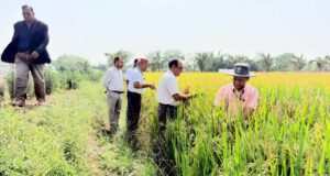 रायपुर : माटी में रोजगार- प्रतिदिन 300 रुपए की मजदूरी से श्रमिक परिवारों को मिला मजबूत आर्थिक आधार, पलायन पर लगी रोक